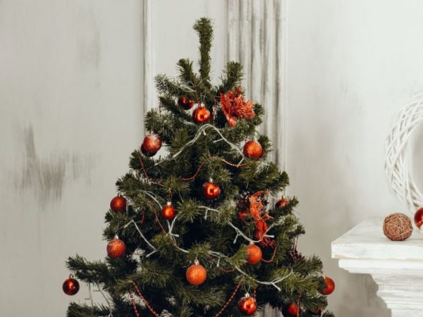 Buying Your First Green Artificial Christmas Trees