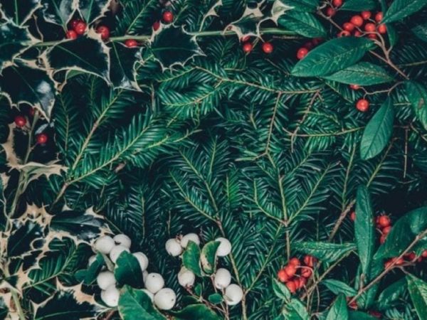 Breathing New Life into Your Seasonal Décor: How to Clean and Maintain Your Artificial Christmas Garlands