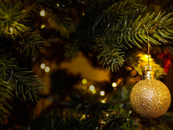 The Circle of Life and Coming of Age for Artificial Christmas Trees