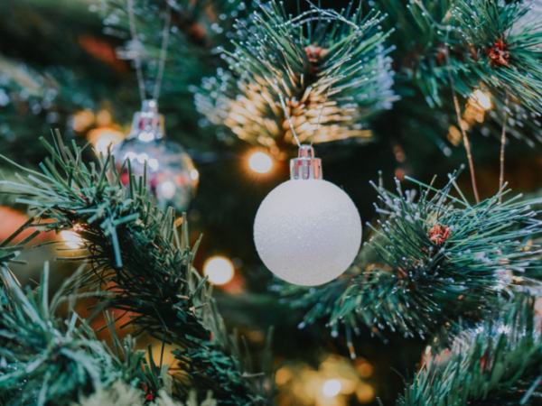 The Magic of Pre-Lit Christmas Trees: Experience the Holiday Spirit at the Mall